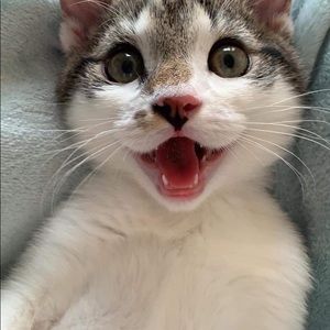 Meet your Posher, Beth